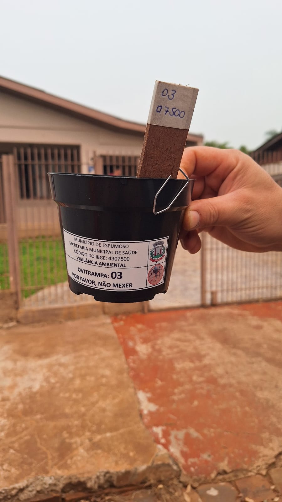 Equipe de endemias alerta para vários focos do mosquito da dengue em Espumoso