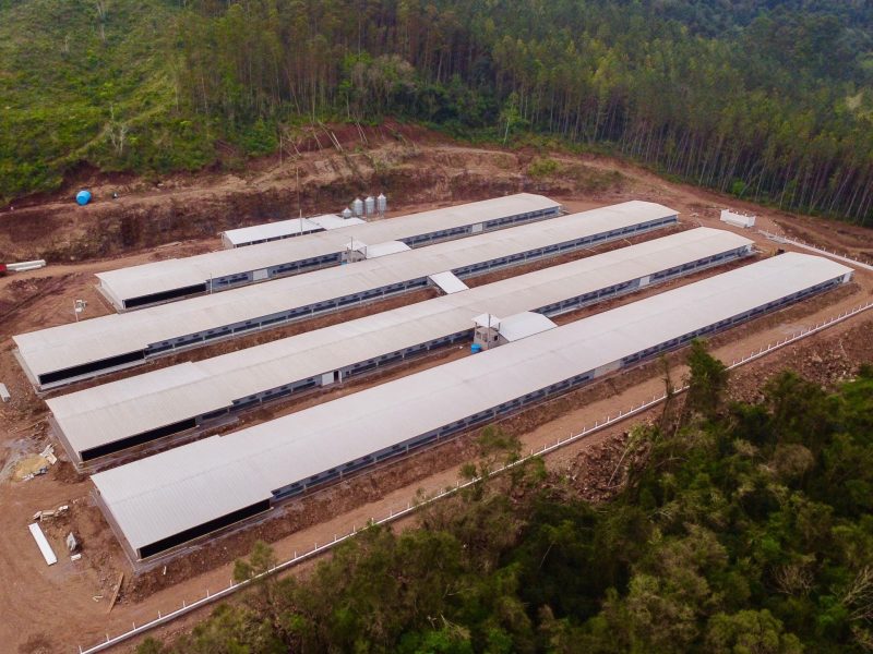 MUÇUM | Município inaugura Complexo Avícola Costa Rica