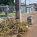 ESPUMOSO | Secretaria de Obras e Serviços urbanos divulga calendário de recolhimento de entulhos
