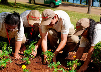 Parque da Expodireto Cotrijal recebe flores produzidas no projeto Viveiro de Cidadania