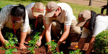 Parque da Expodireto Cotrijal recebe flores produzidas no projeto Viveiro de Cidadania