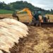 Secretarias auxiliam agricultores no fechamento da silagem