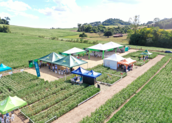 Campo Show Cotriel 2025: uma experiência diferenciada