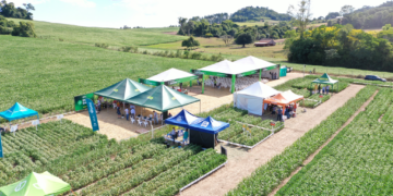 Campo Show Cotriel 2025:  uma experiência diferenciada 