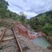 Consórcio é alternativa para recuperar ferrovias