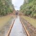 Vale busca apoio do Estado para destravar trem turístico