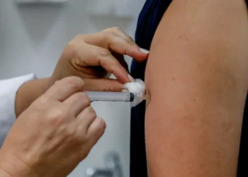Dengue: Anvisa pede esclarecimentos para aprovar vacina do Butantan