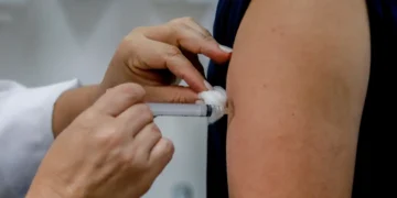 Dengue: Anvisa pede esclarecimentos para aprovar vacina do Butantan
