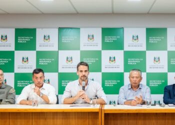 Período de Carnaval no Rio Grande do Sul termina com redução dos índices de criminalidade