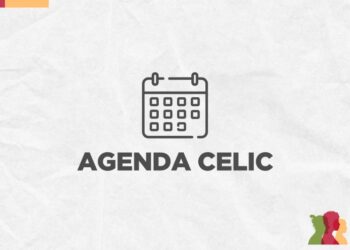 Leilão de 210 lotes de veículos recuperáveis do Estado é destaque da Agenda Celic