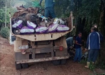 SERAFINA CORRÊA | Secretaria de Meio Ambiente recolhe 20 toneladas de lixo seco no interior