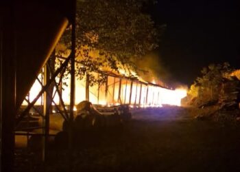 DOIS LAJEADOS | Bombeiros combatem incêndio em aviário
