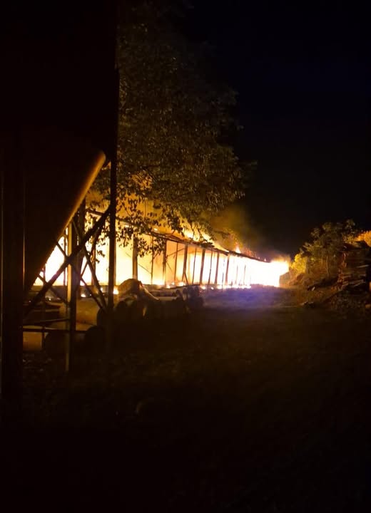 DOIS LAJEADOS | Bombeiros combatem incêndio em aviário