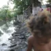Falta de saneamento provocou mais de 340 mil internações em 2024