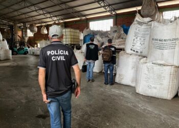 Polícia Civil apreende 384 toneladas de sementes ilegais durante Operação Semente Segura no RS