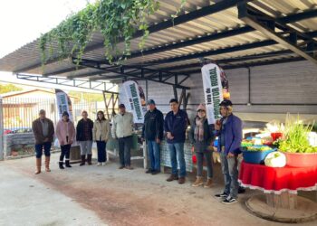 Iniciativa para ampliar visibilidade da feira do produtor de Campos Borges