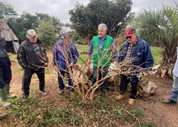 Secretaria da Agricultura  de Espumoso Promove Curso Prático de Poda de Árvores Frutíferas