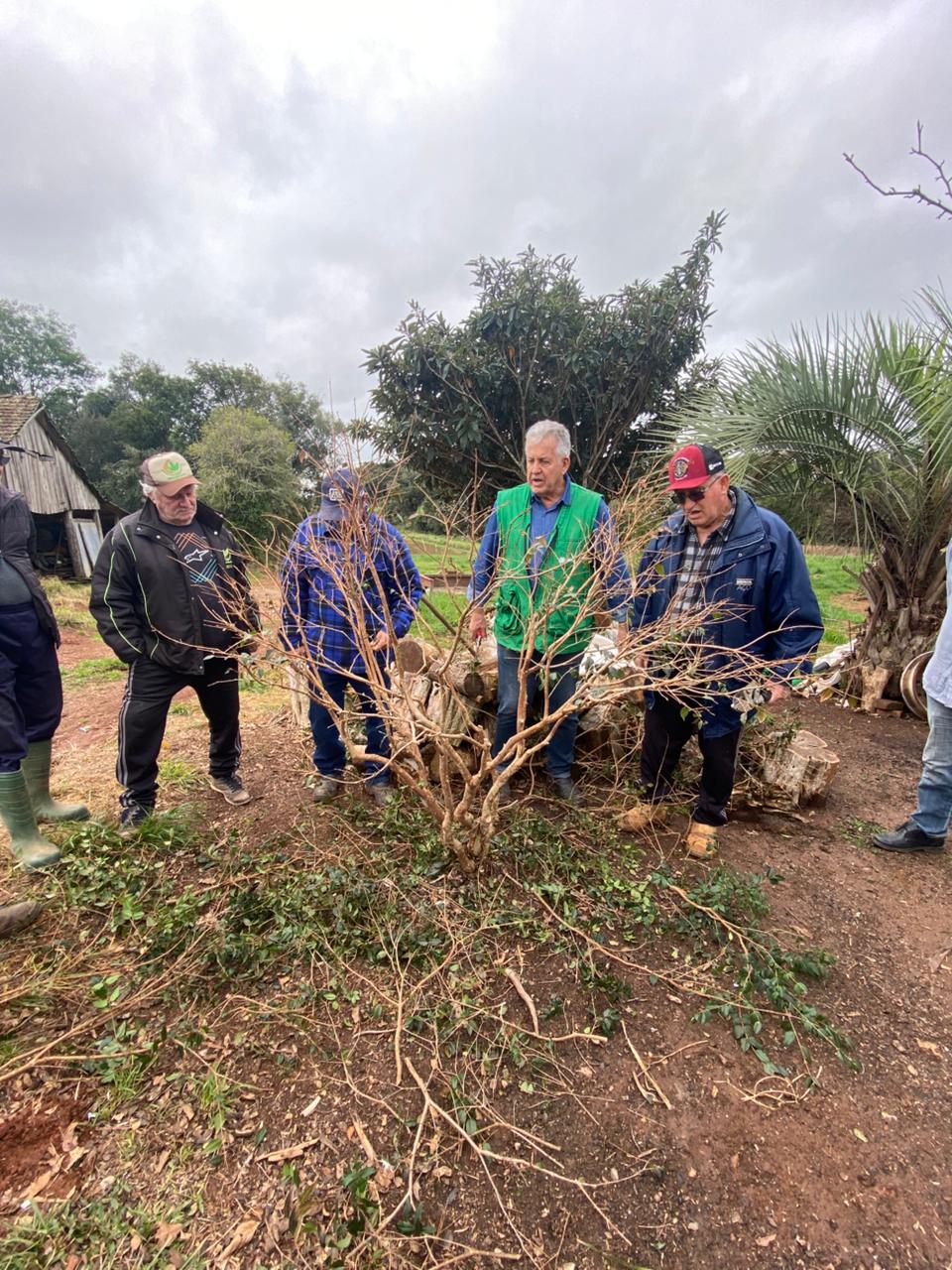 Secretaria da Agricultura de Espumoso Promove Curso Prático de Poda de Árvores Frutíferas