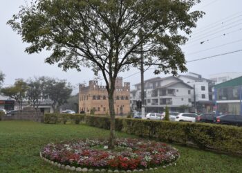Flores de Inverno Colorirão Serafina Corrêa em Ação Integrada de Meio Ambiente e Educação