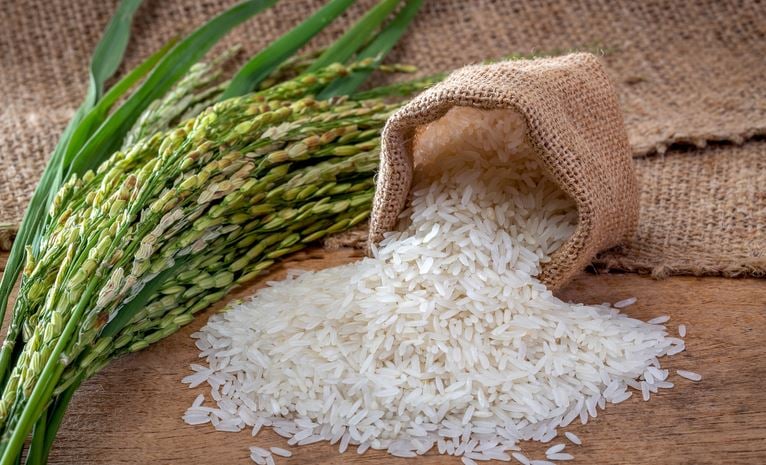 Tarifaço dos EUA reduz competitividade do arroz brasileiro em mercado estratégico para escoamento do grão
