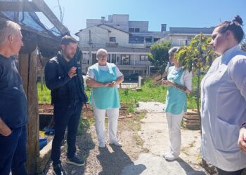 Dia C: Agência do Sicoob São Miguel de Arvorezinha entrega horta revitalizada ao Hospital São João