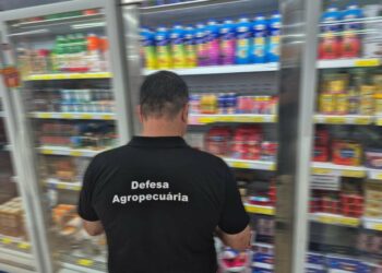 Operação apreende 500 kg de alimentos impróprios em Selbach