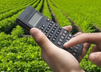 Dívidas do agronegócio chegam a R$ 123,6 bilhões e acendem alerta no setor em 2025