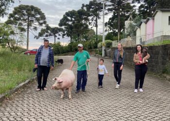 Festa da Partilha: tradição que se mantém em Ilópolis