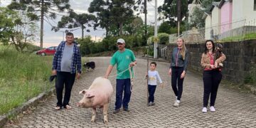 Festa da Partilha: tradição que se mantém em Ilópolis